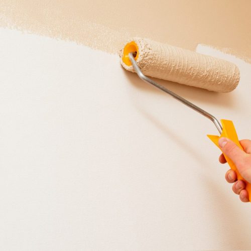 painting-the-walls-of-a-room-AMT7V8J